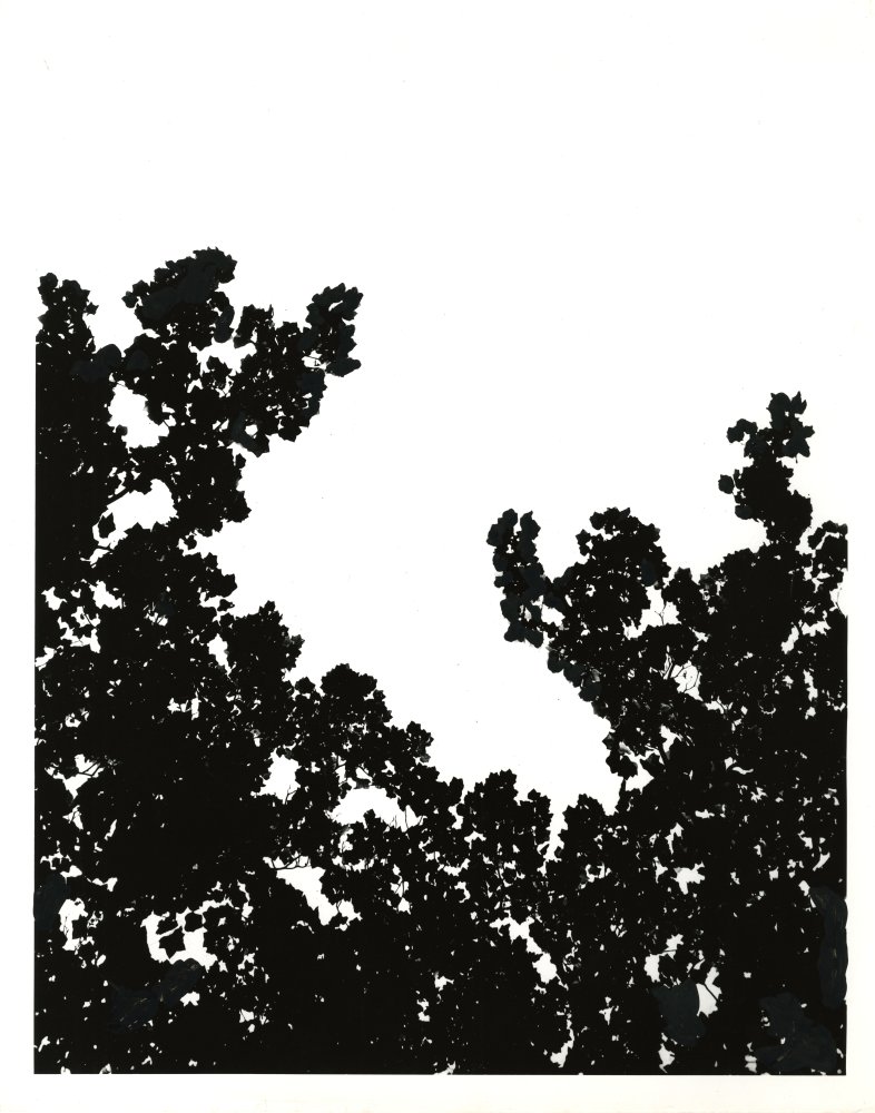 02-048 (click for large image)